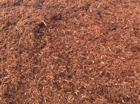 Landscape Supplies Wm Biers Albany Ny Landscaping Hemlock