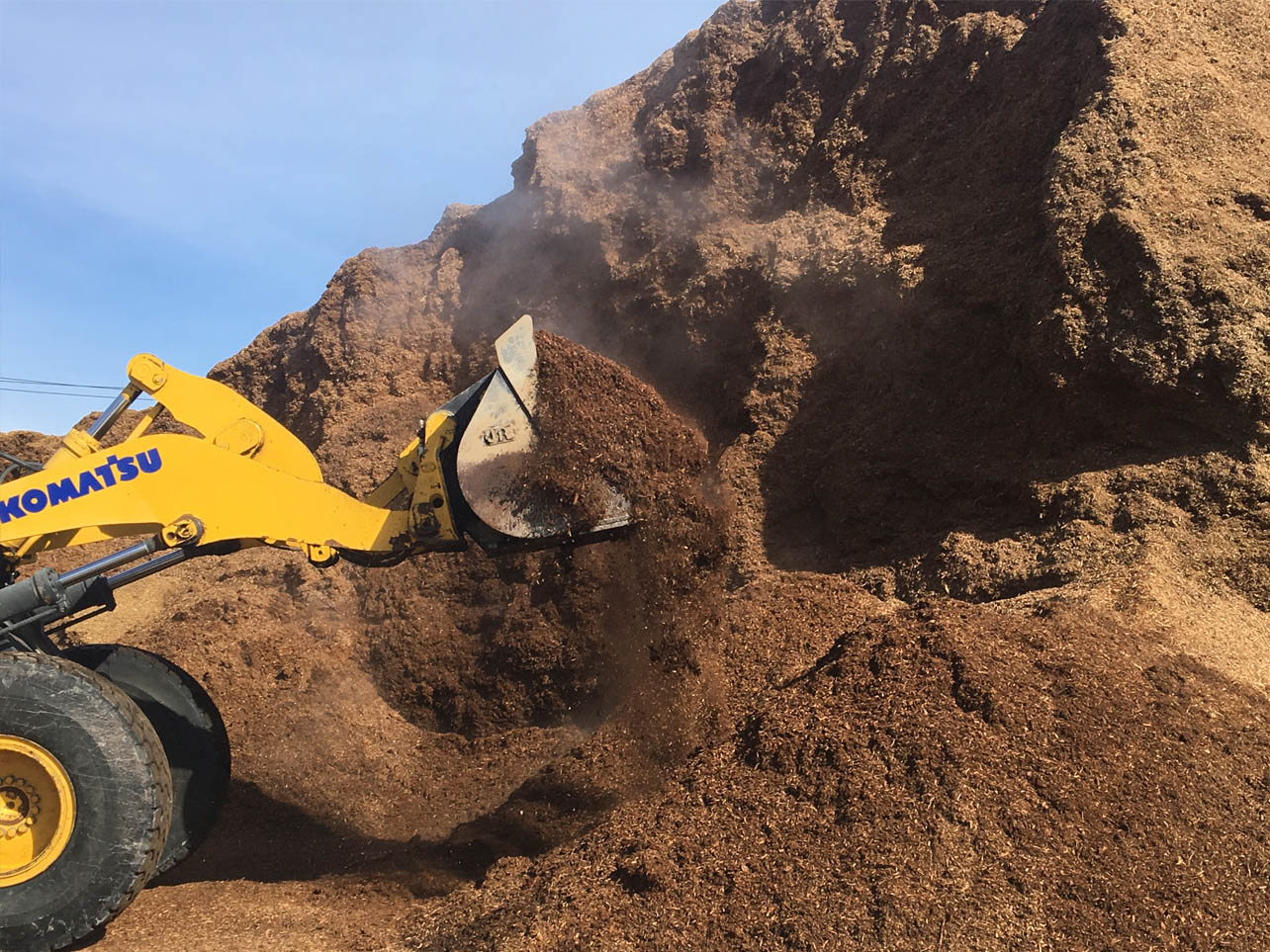 dirt