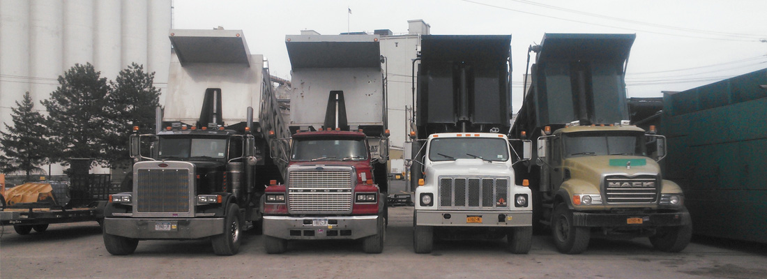 Dump Truck lineup
